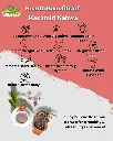 Kashmiri Kahwa copy 2.webp