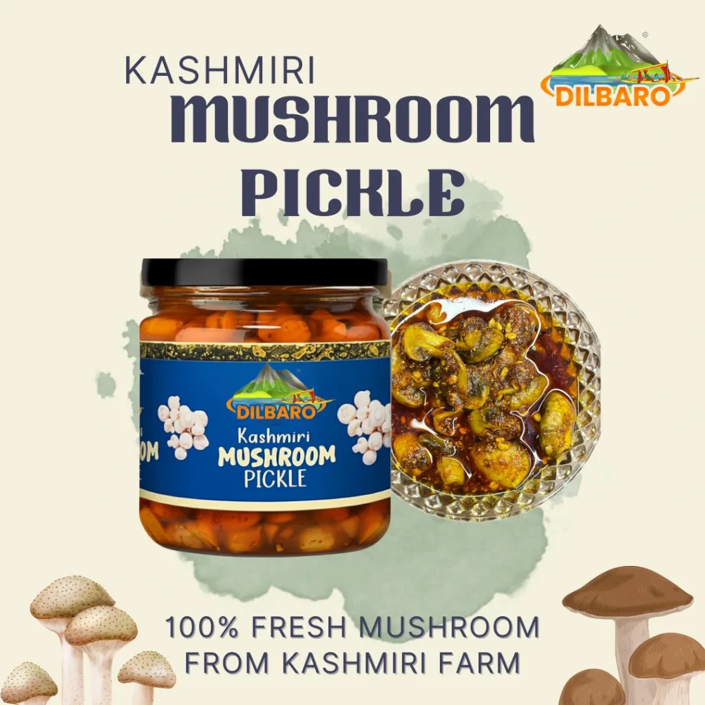 Untitled design (4) copy.webp